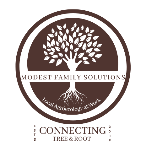 Modest Family Solutions: Connecting Tree & Root